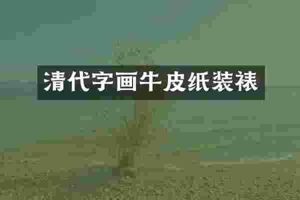 清代字画牛皮纸装裱
