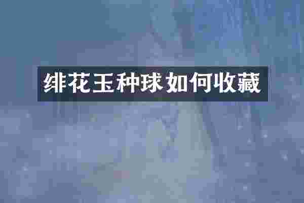 绯花玉种球如何收藏