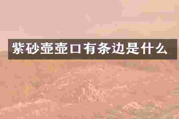 紫砂壶壶口有条边是什么