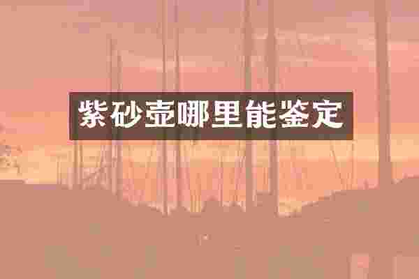 紫砂壶哪里能鉴定