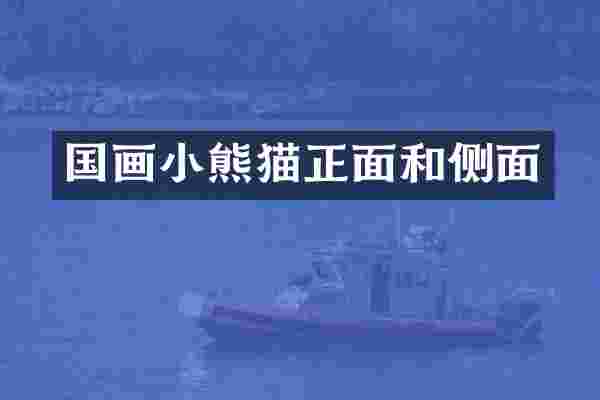 国画正面和侧面