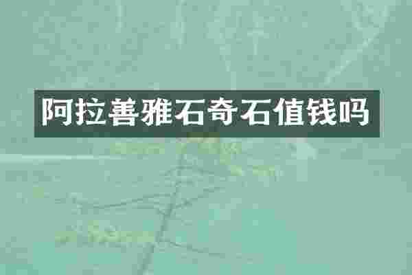 阿拉善雅石奇石值钱吗