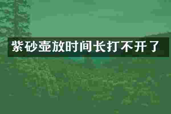 紫砂壶放时间长打不开了