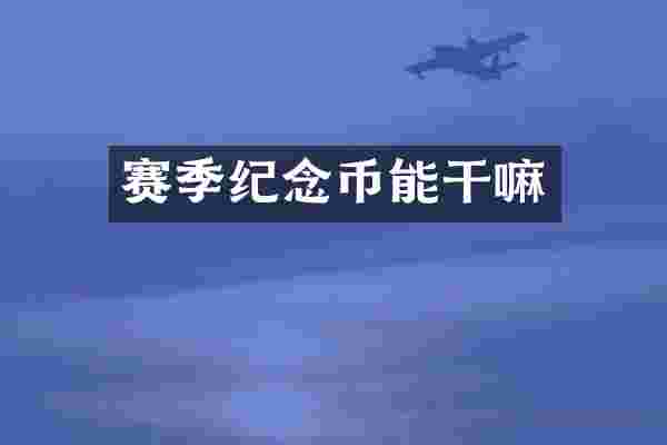 赛季纪念币能干嘛