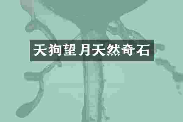 天狗望月天然奇石