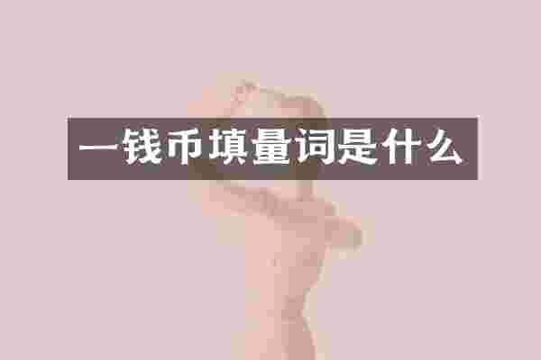 一钱币填量词是什么