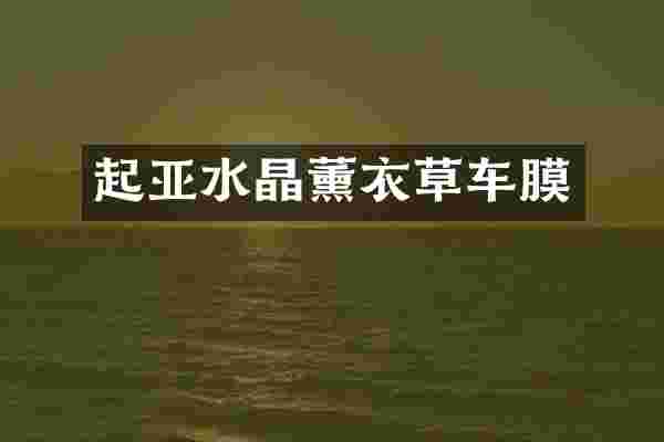 起亚水晶薰衣草车膜