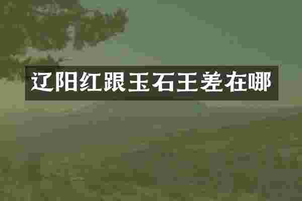 辽阳红跟玉石王差在哪