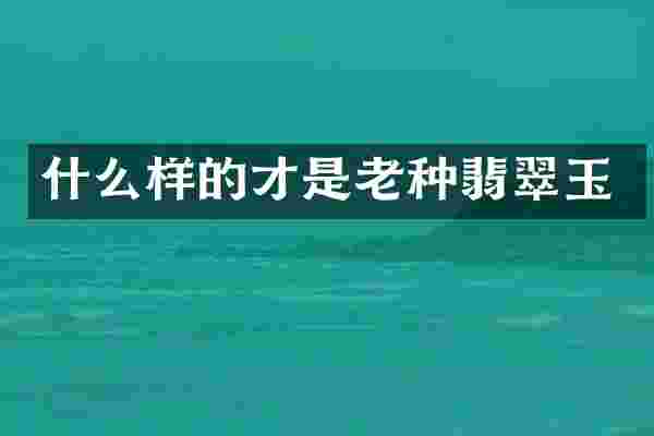 什么样的才是老种翡翠玉