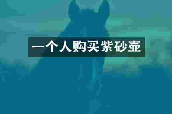 一个人购买紫砂壶