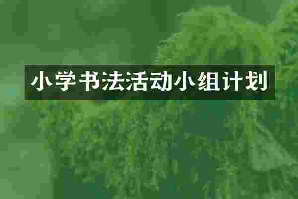 小学书法活动小组计划