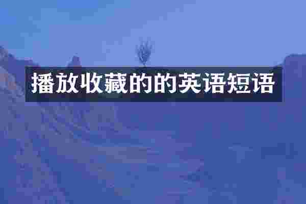 播放收藏的的英语短语
