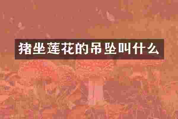猪坐莲花的吊坠叫什么