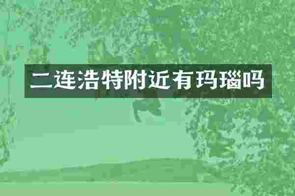 二连浩特附近有玛瑙吗