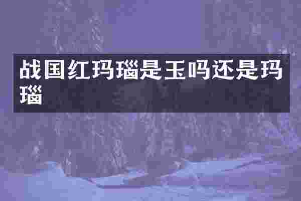 战国红玛瑙是玉吗还是玛瑙