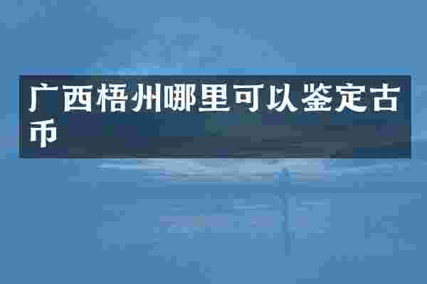 广西梧州哪里可以鉴定古币