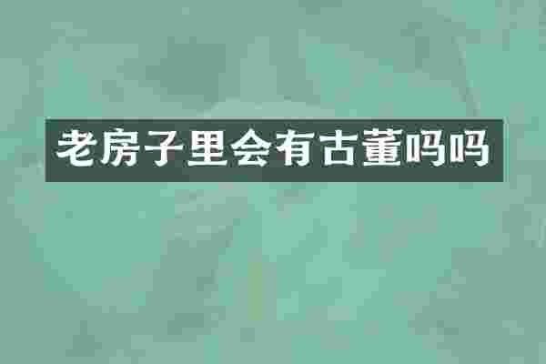老房子里会有古董吗吗