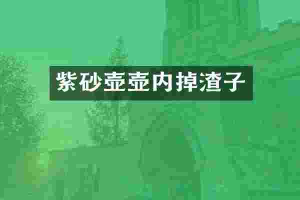 紫砂壶壶内掉渣子