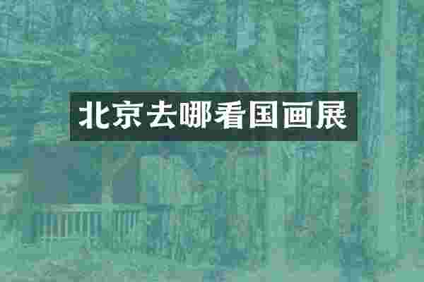 北京去哪看国画展