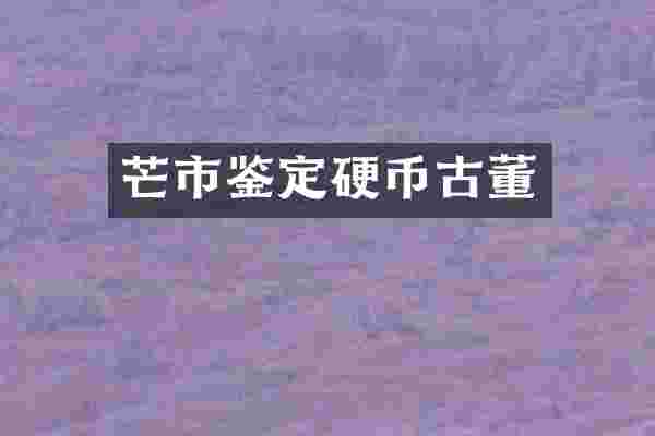 芒市鉴定硬币古董