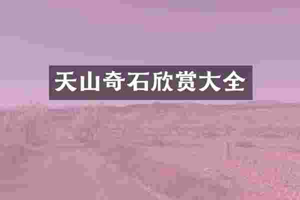 天山奇石欣赏大全