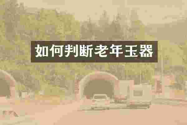 如何判断老年玉器