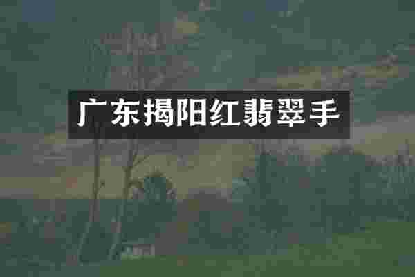 广东揭阳红翡翠手