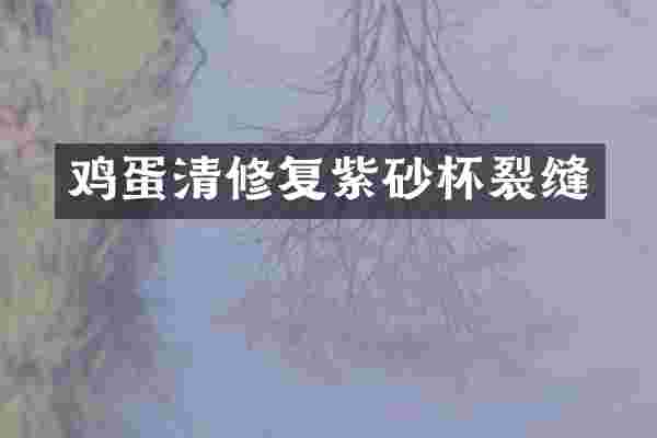 鸡蛋清修复紫砂杯裂缝