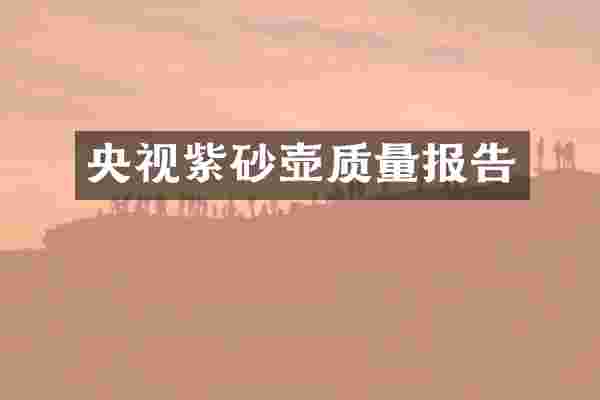 央视紫砂壶质量报告