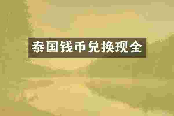 泰国钱币兑换现金