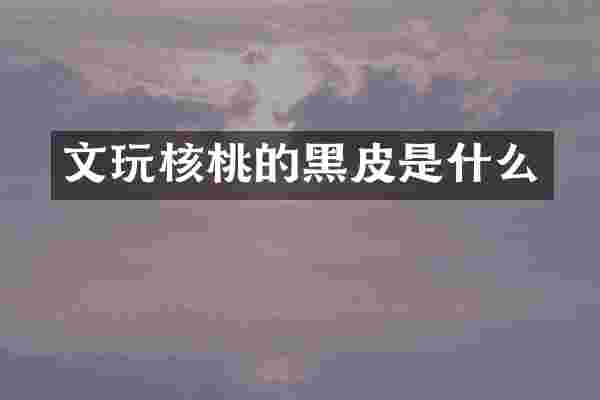 文玩核桃的黑皮是什么