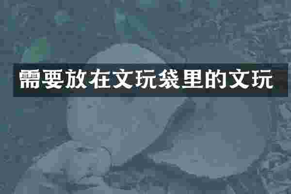 需要放在文玩袋里的文玩